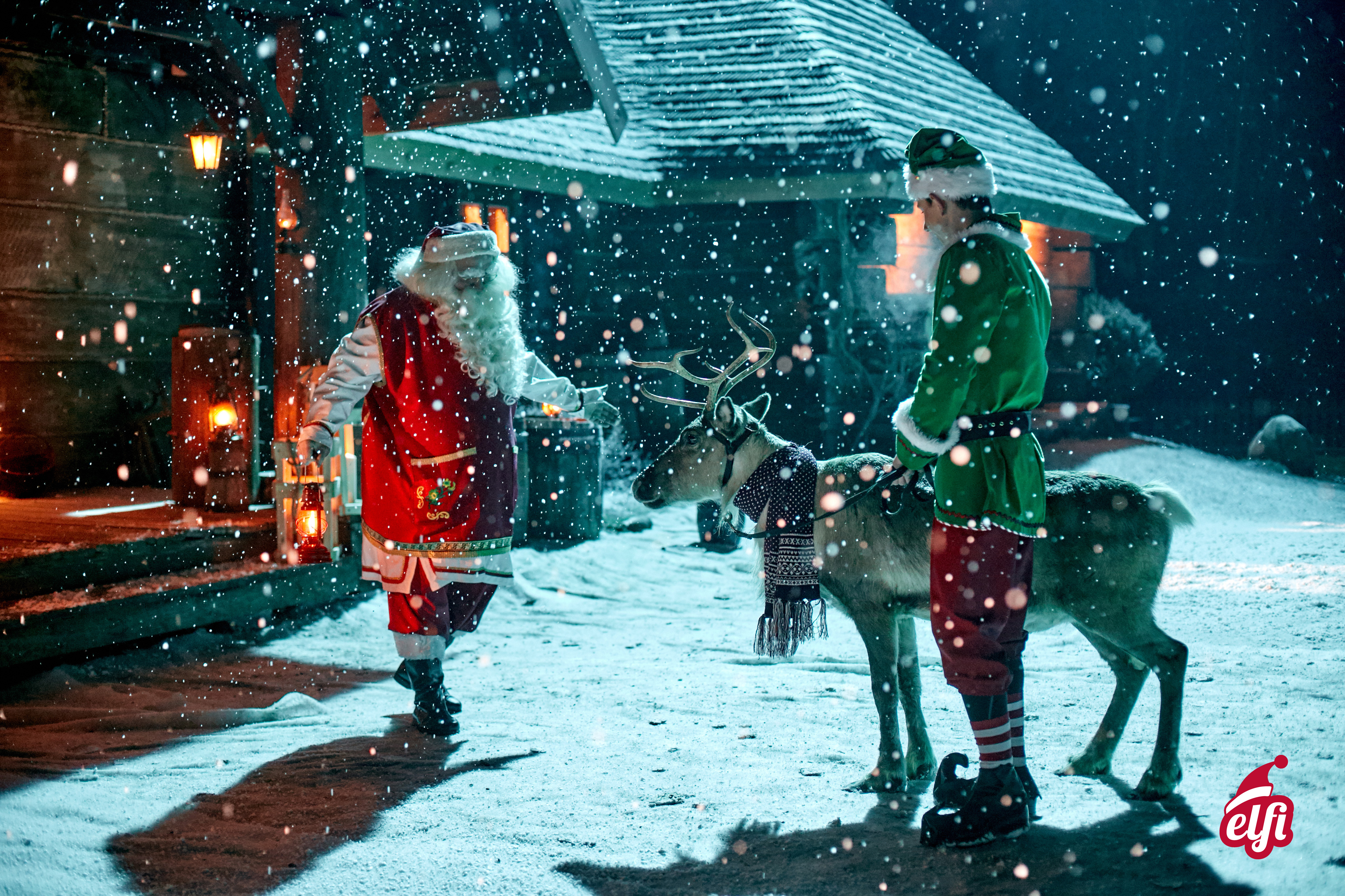 Com’è in realtà una renna? Fatti e miti