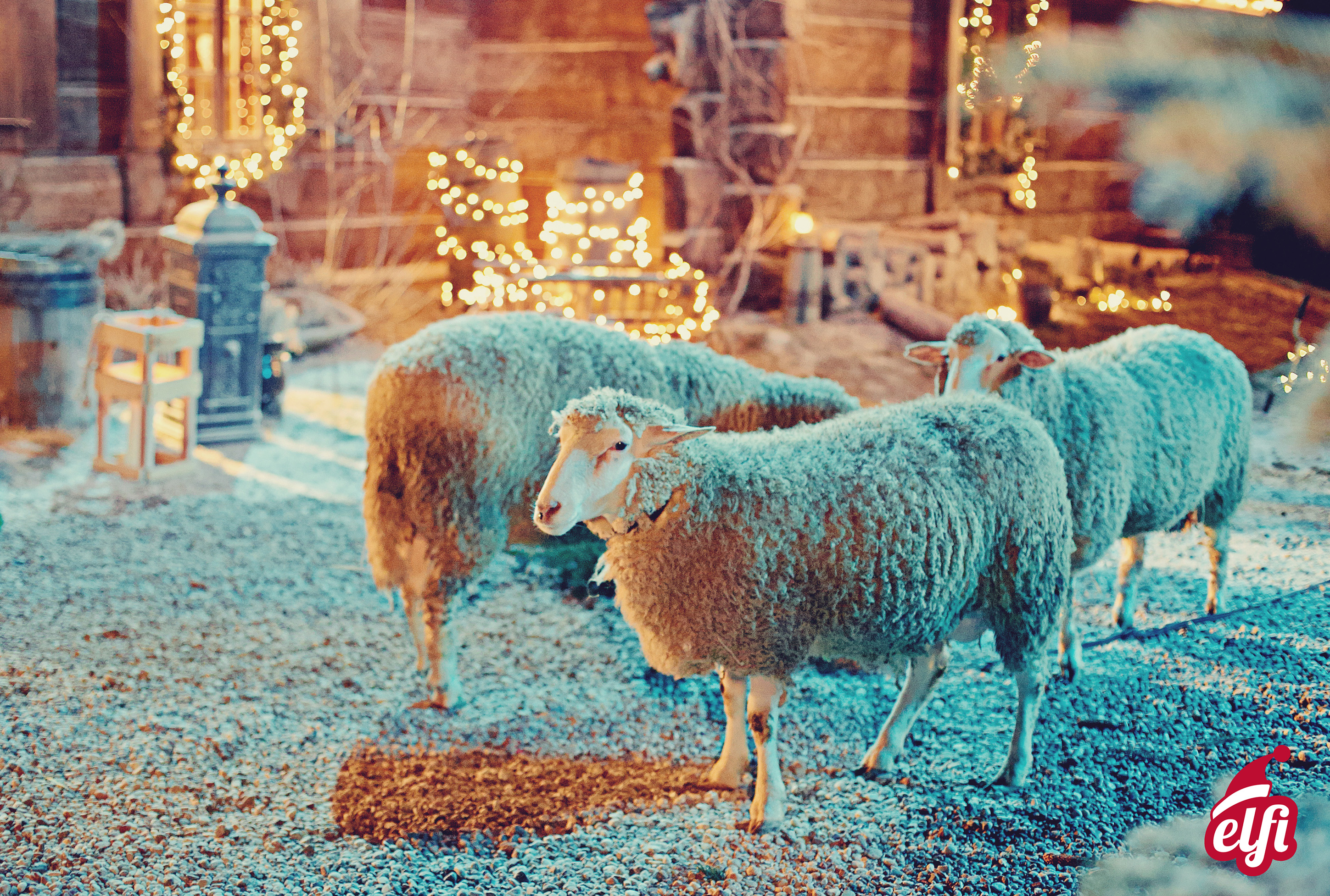 I segreti del numero di Babbo Natale: si può davvero chiamare il Babbo Natale?